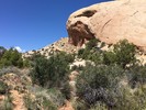 photo thumbnail #6