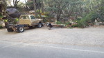 photo thumbnail #2