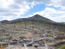 photo thumbnail #8
