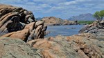 photo thumbnail #2