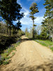 photo thumbnail #7