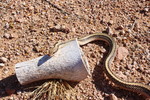 photo thumbnail #2
