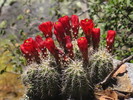 photo thumbnail #3