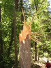 photo thumbnail #11