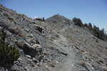 photo thumbnail #11