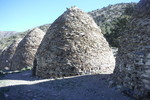 recent photo