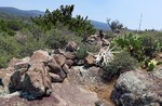 photo thumbnail #14
