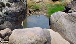 photo thumbnail #15