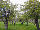 photo thumbnail #3
