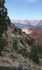 photo thumbnail #12