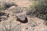 photo thumbnail #6