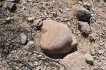 photo thumbnail #9