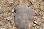 photo thumbnail #11