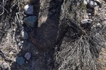 photo thumbnail #12