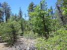 photo thumbnail #3