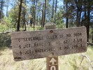 photo thumbnail #10