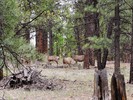 photo thumbnail #9