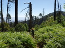 photo thumbnail #1