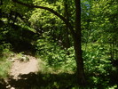 photo thumbnail #15