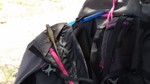 photo thumbnail #8