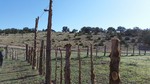 photo thumbnail #14