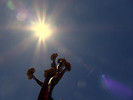 photo thumbnail #10