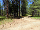 photo thumbnail #7