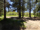 photo thumbnail #8