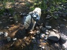 photo thumbnail #2