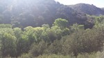 photo thumbnail #8