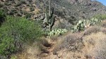 photo thumbnail #11