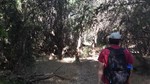 photo thumbnail #13