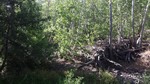 photo thumbnail #14