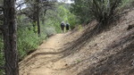photo thumbnail #9