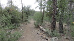photo thumbnail #12