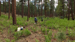 photo thumbnail #7