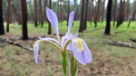 photo thumbnail #8
