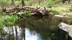 photo thumbnail #11