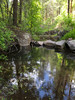 photo thumbnail #13