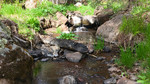 photo thumbnail #3
