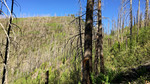 2016-05-29 :1: Blue Peak 9355 :: chumley