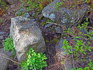 Featured Detail Photo