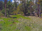 2016-05-02 :1: Pueblo Canyon Overlook via Murphy Ranch #141 :: Grasshopper