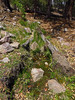 2016-05-02 :1: Pueblo Canyon Overlook via Murphy Ranch #141 :: Grasshopper