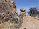 photo thumbnail #6