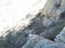 photo thumbnail #11