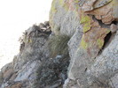 photo thumbnail #12