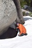 photo thumbnail #9