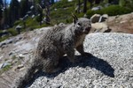 photo thumbnail #14