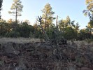 photo thumbnail #13